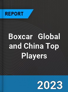 Boxcar Global and China Top Players Market