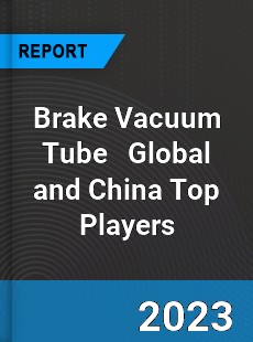 Brake Vacuum Tube Global and China Top Players Market