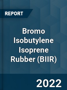 Bromo Isobutylene Isoprene Rubber Market