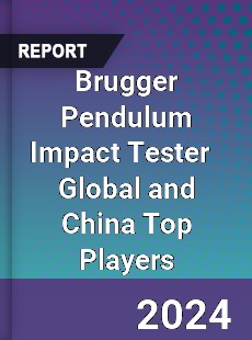 Brugger Pendulum Impact Tester Global and China Top Players Market