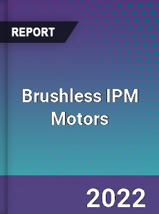 Brushless IPM Motors Market