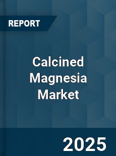 Calcined Magnesia Global Market