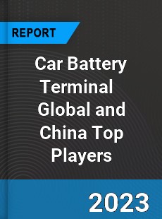 Car Battery Terminal Global and China Top Players Market