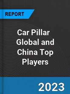 Car Pillar Global and China Top Players Market