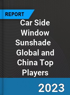 Car Side Window Sunshade Global and China Top Players Market