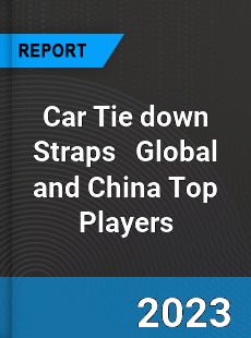 Car Tie down Straps Global and China Top Players Market