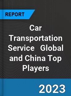 Car Transportation Service Global and China Top Players Market