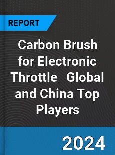 Carbon Brush for Electronic Throttle Global and China Top Players Market