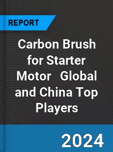 Carbon Brush for Starter Motor Global and China Top Players Market