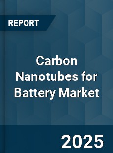 Carbon Nanotubes for Battery