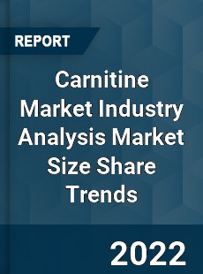 Carnitine Market Industry Analysis Market Size Share Trends