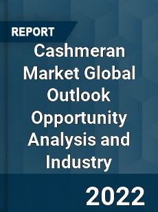 Cashmeran Market Global Outlook Opportunity Analysis and Industry