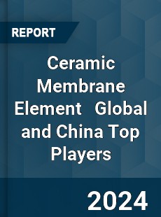 Ceramic Membrane Element Global and China Top Players Market