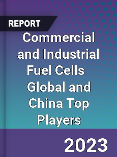 Commercial and Industrial Fuel Cells Global and China Top Players Market