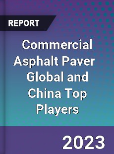 Commercial Asphalt Paver Global and China Top Players Market