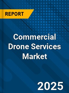Commercial Drone Services Global and China Top Players Market