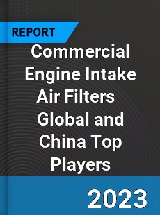 Commercial Engine Intake Air Filters Global and China Top Players Market