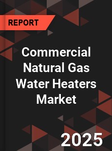Commercial Natural Gas Water Heaters Global and China Top Players Market