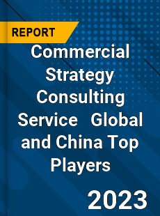 Commercial Strategy Consulting Service Global and China Top Players Market