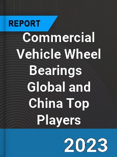 Commercial Vehicle Wheel Bearings Global and China Top Players Market