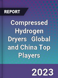 Compressed Hydrogen Dryers Global and China Top Players Market