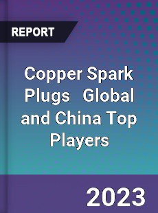 Copper Spark Plugs Global and China Top Players Market