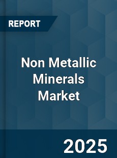 COVID 19 Outbreak Global Non Metallic Minerals Industry