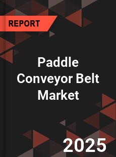 COVID 19 Outbreak Global Paddle Conveyor Belt Industry