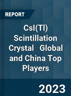 CsI Scintillation Crystal Global and China Top Players Market