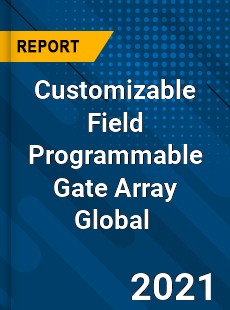 Customizable Field Programmable Gate Array Global Market