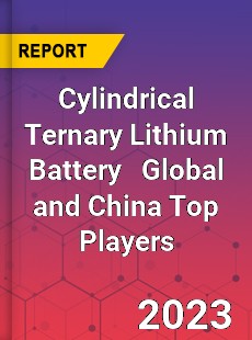 Cylindrical Ternary Lithium Battery Global and China Top Players Market