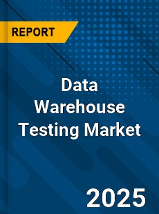 Data Warehouse Testing Global and China Top Players Market