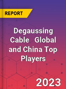 Degaussing Cable Global and China Top Players Market