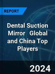 Dental Suction Mirror Global and China Top Players Market