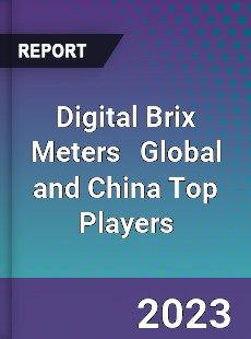 Digital Brix Meters Global and China Top Players Market