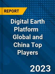 Digital Earth Platform Global and China Top Players Market