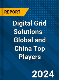 Digital Grid Solutions Global and China Top Players Market