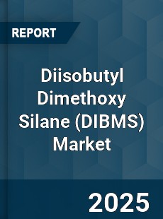 Diisobutyl Dimethoxy Silane