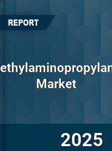 Dimethylaminopropylamine Market