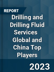 Drilling and Drilling Fluid Services Global and China Top Players Market