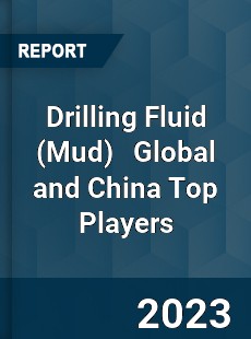 Drilling Fluid Global and China Top Players Market