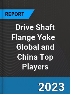 Drive Shaft Flange Yoke Global and China Top Players Market