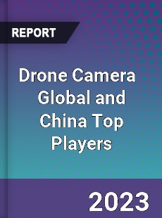 Drone Camera Global and China Top Players Market