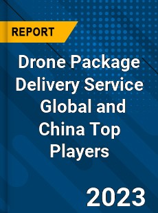 Drone Package Delivery Service Global and China Top Players Market
