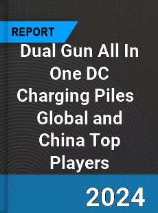 Dual Gun All In One DC Charging Piles Global and China Top Players Market