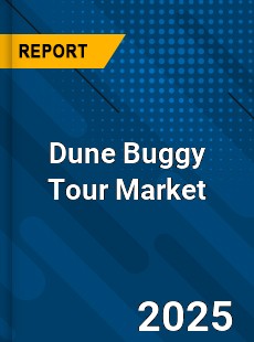 Dune Buggy Tour Global and China Top Players Market