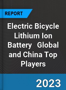 Electric Bicycle Lithium Ion Battery Global and China Top Players Market