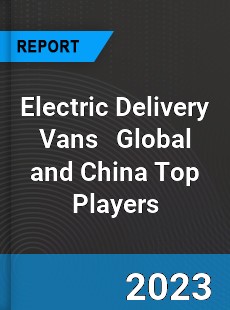 Electric Delivery Vans Global and China Top Players Market
