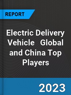 Electric Delivery Vehicle Global and China Top Players Market