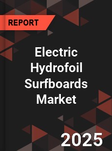 Electric Hydrofoil Surfboards Global and China Top Players Market